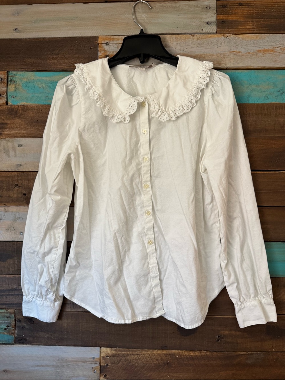 ANN TAYLOR LOFT White Eyelet Lace Peter Pan Statement Collar Blouse Top | Size M